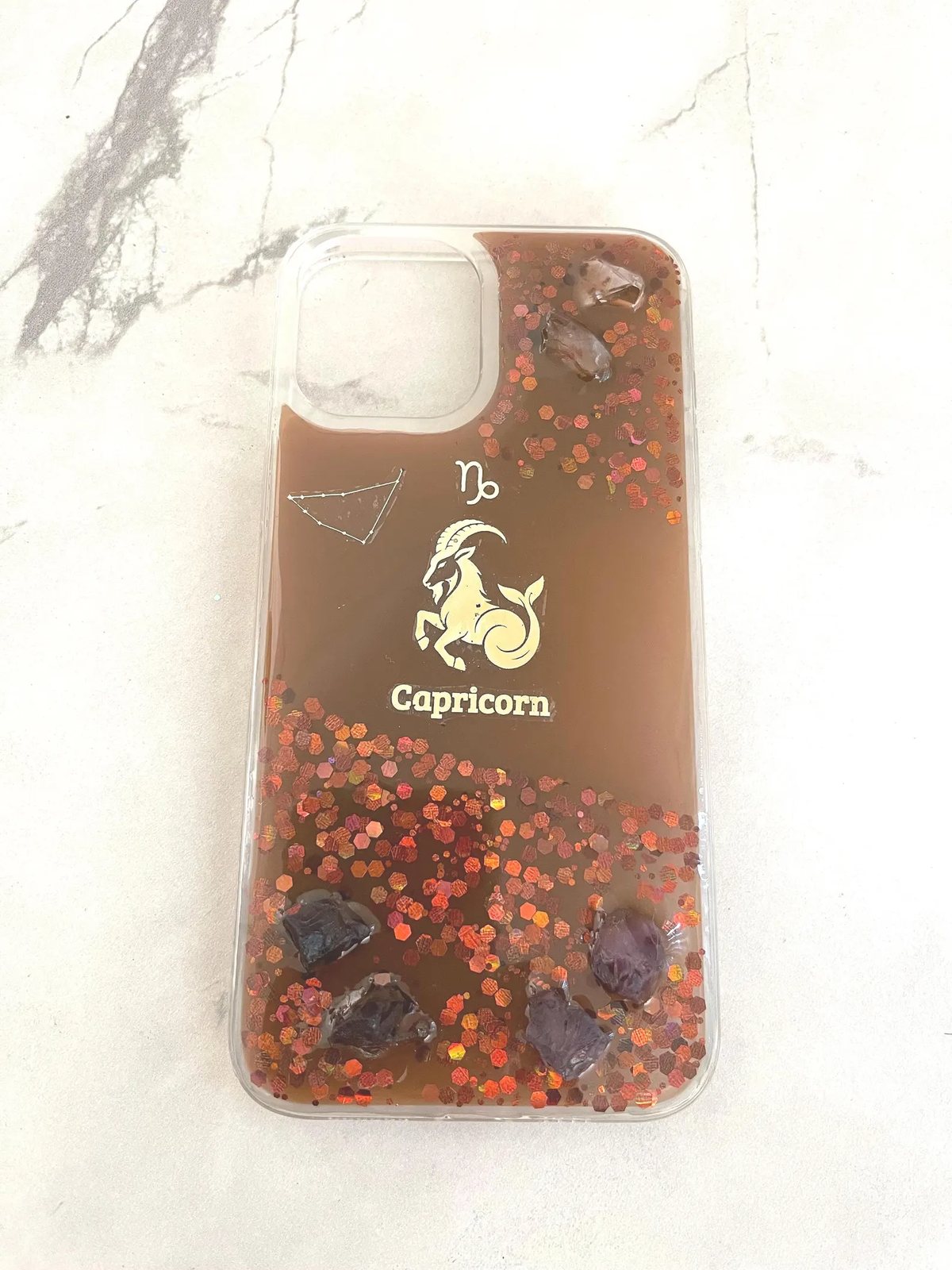 Capricorn case